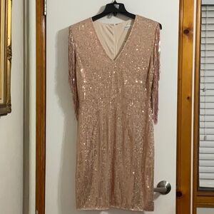 Women’s Sexy Deep-V Sequin Glitter Tassel Sleeve Party Mini Dress SzXL Rose Gold